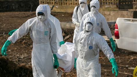 deadly epidemic figgerits|Deadly epidemic Figgerits .
